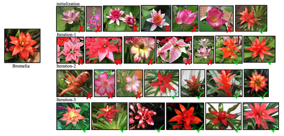 bromelia